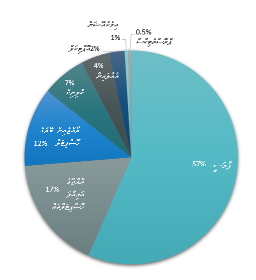 Aasandha expenditure 2021 by type of service provider
